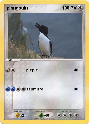 Pokemon pinngouin