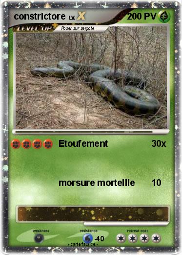 Pokemon constrictore