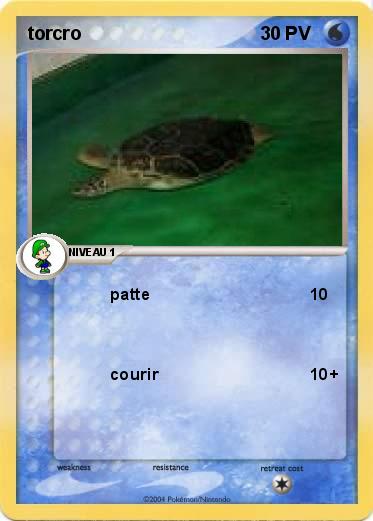 Pokemon torcro