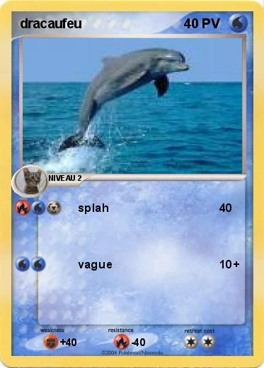 Pokemon dracaufeu