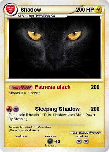 Pokemon Shadow