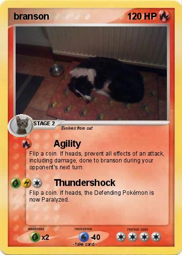 Pokemon branson