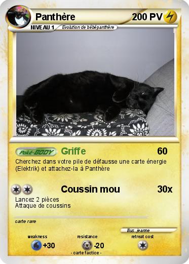 Pokemon Panthère