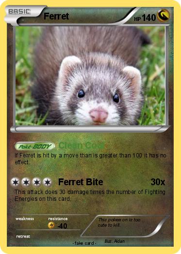 Pokemon Ferret