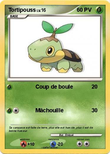Pokemon Tortipouss