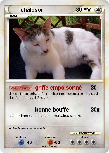 Pokemon chatosor