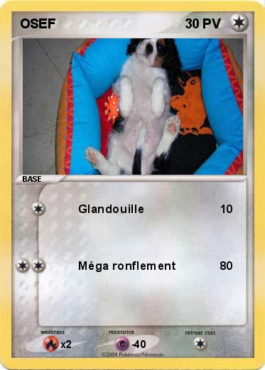 Pokemon OSEF