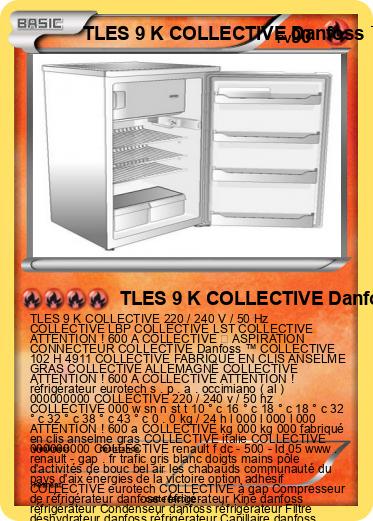 Pokemon TLES 9 K COLLECTIVE Danfoss ™