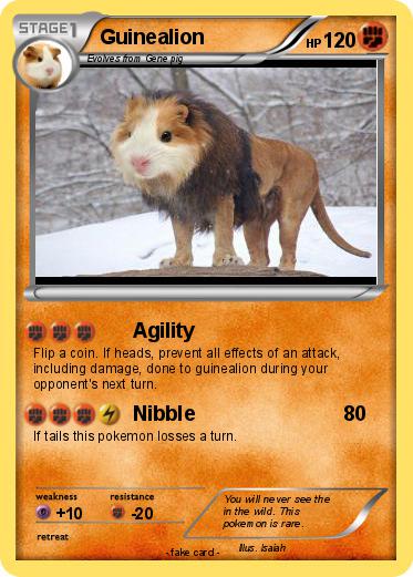 Pokemon Guinealion
