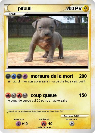 Pokemon pitbull