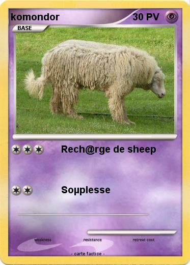 Pokemon komondor
