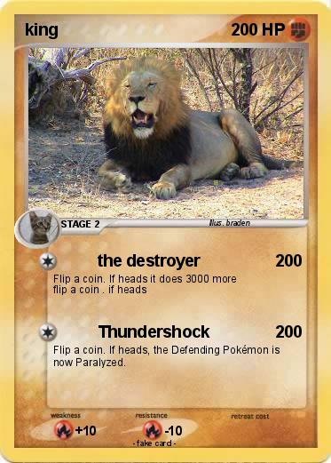 Pokemon king