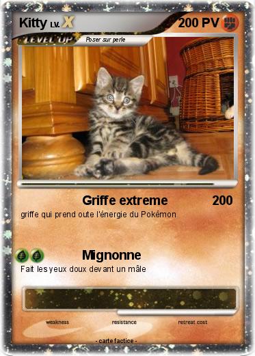 Pokemon Kitty