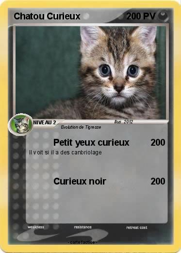 Pokemon Chatou Curieux