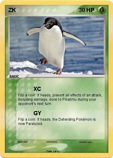 Pokemon ZK