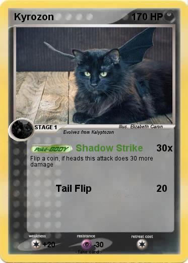 Pokemon Kyrozon