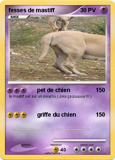 Pokemon fesses de mastiff