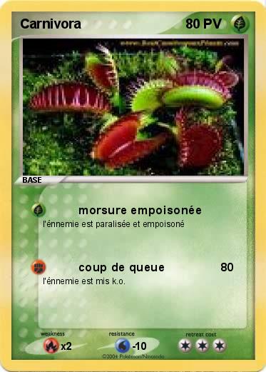 Pokemon Carnivora