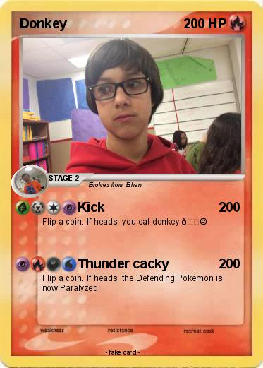 Pokemon Donkey