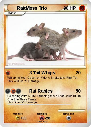 Pokemon RattMoss Trio
