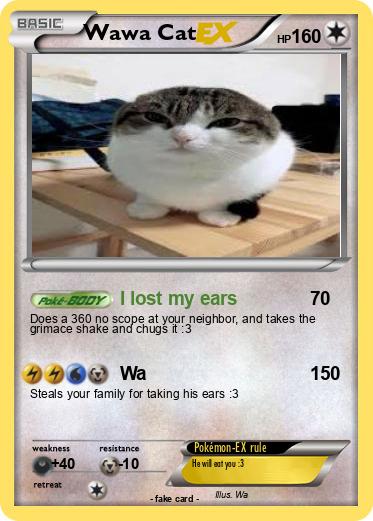 Pokemon Wawa Cat