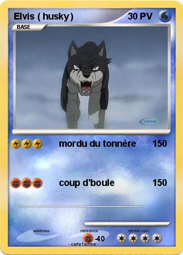 Pokemon Elvis ( husky )