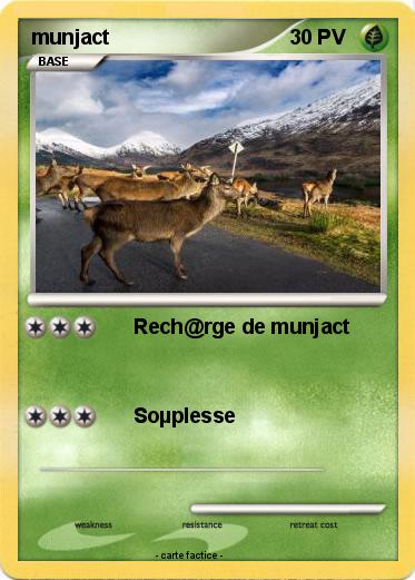 Pokemon munjact