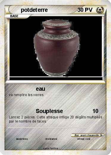 Pokemon potdeterre