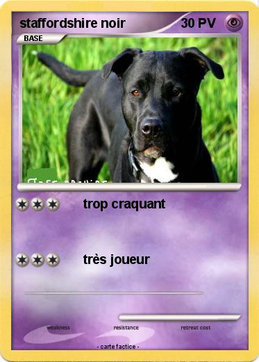 Pokemon staffordshire noir