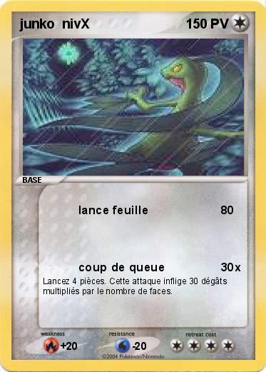 Pokemon junko  nivX