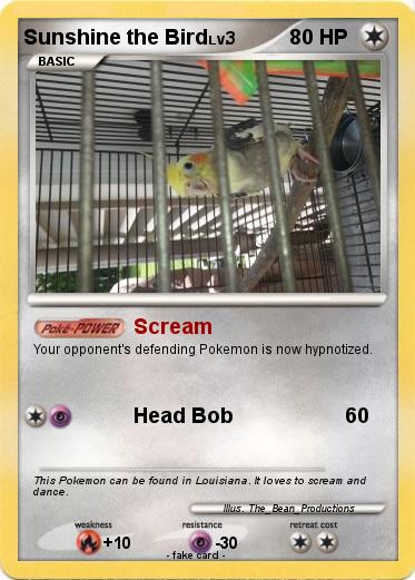 Pokemon Sunshine the Bird