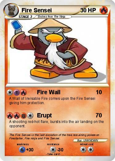 Pokemon Fire Sensei