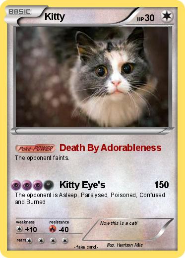 Pokemon Kitty