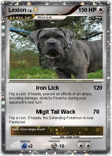 Pokemon Lexion