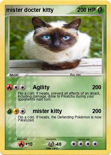 Pokemon mister docter kitty