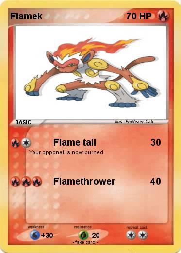 Pokemon Flamek