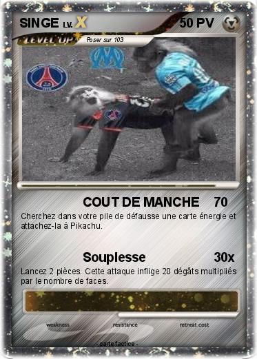 Pokemon SINGE