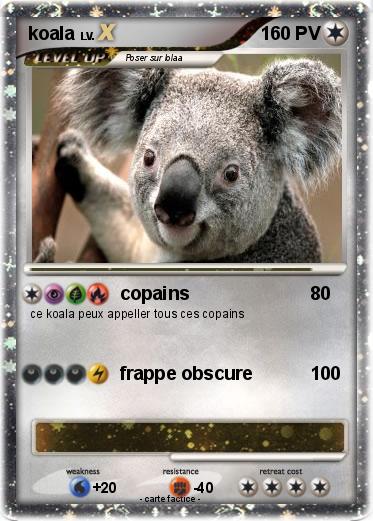 Pokemon koala
