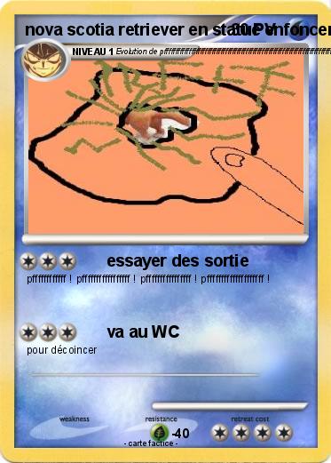 Pokemon nova scotia retriever en statue enfoncer