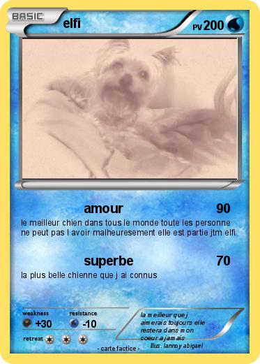 Pokemon elfi