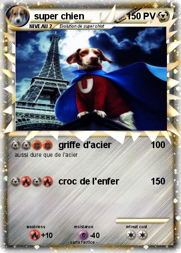 Pokemon super chien
