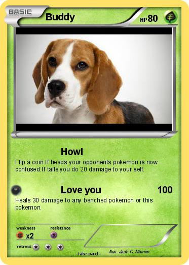 Pokemon Buddy