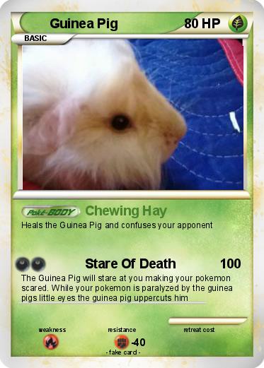 Pokemon Guinea Pig