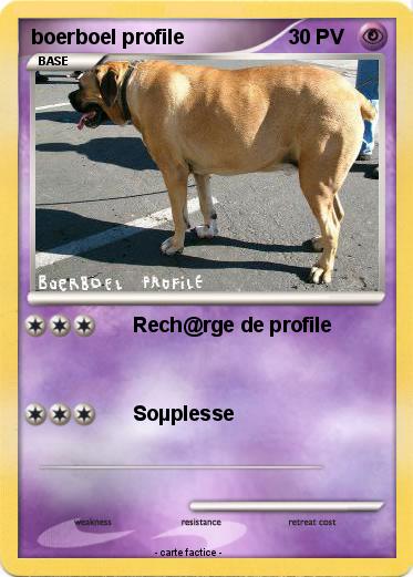 Pokemon boerboel profile