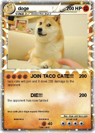 Pokemon doge