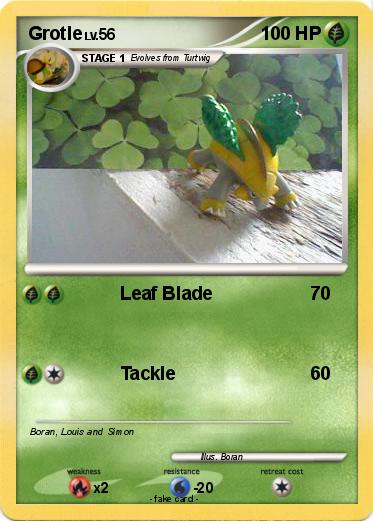 Pokemon Grotle