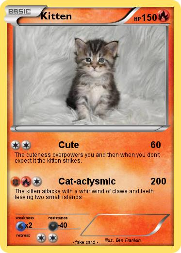 Pokemon Kitten