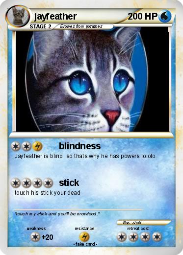 Pokemon jayfeather