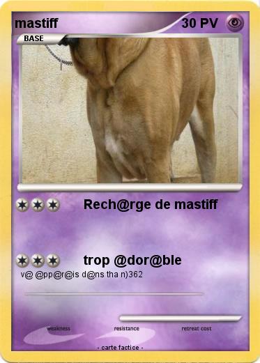 Pokemon mastiff