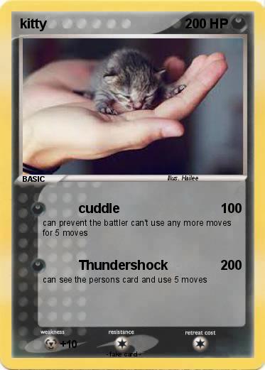 Pokemon kitty
